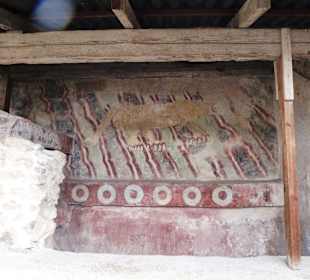 Jaguar oder doch Puma?