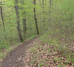 Premiumwanderweg Hochgebürzelt