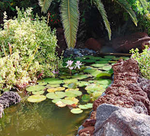 Ландшафт в парке