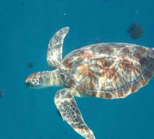 Alle Bilder an einem Tag!