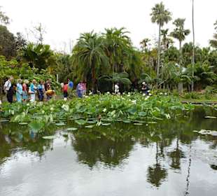 Botanischer Garten