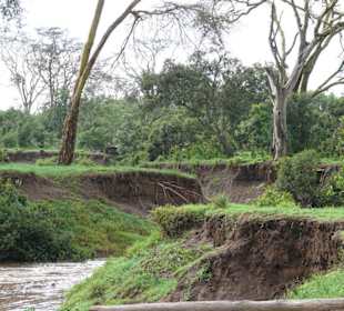 Wasser sucht sich seinen Weg