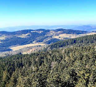 Waldwipfelweg St Englmar/Maibrunn