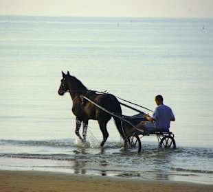 Strand in Bibione Juni 2012