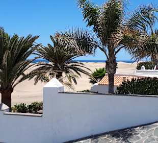 Dünen von Maspalomas	
