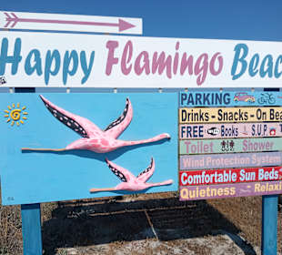 Happy Flamingo Beach