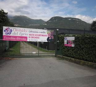 Uferpromenade in Richtung Dongo