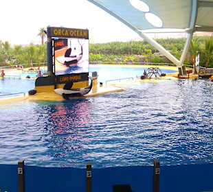 Ausflüge. Loro Park