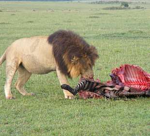 Viel ist nicht mehr übrig
