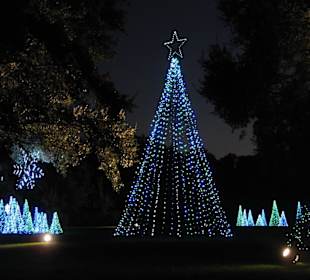 Magic Christmas in Lights