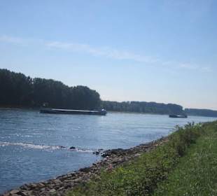 Am Rhein bei Germersheim