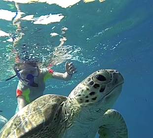 Schnorcheln Marsa Alam