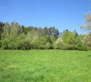Auf dem Weg zur Queichquelle