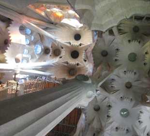 Sagrada Familia