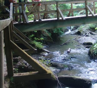 Traumschleife Ehrbachklamm Mai 2022 – durch den Kl