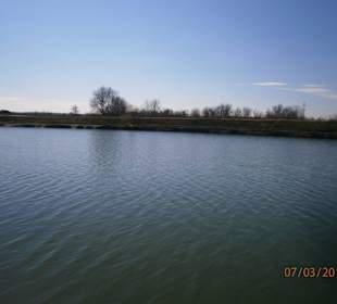 A little wind generating small waves 