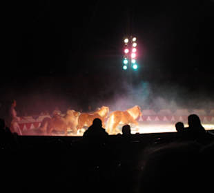 Landauer Weihnachtcircus 2016