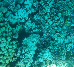 LABRANDA Royal Makadi