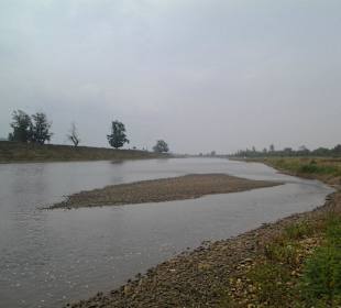 Landscape in September drizzle
