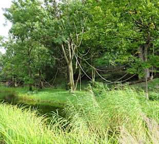 Außengelände der Affen