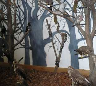 Muzeum na Świętym Krzyżu