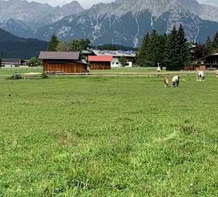Wandern Seefeld