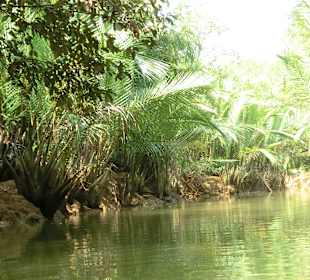 Khao Sok Tour