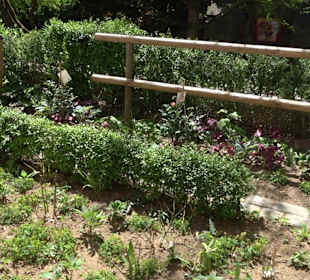 Rosengarten Nördlingen