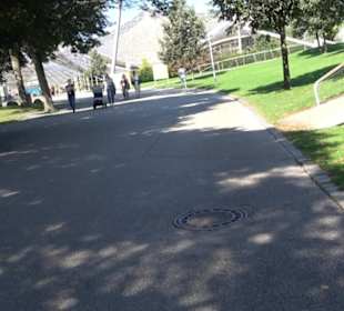 Olympia Schwimmhalle