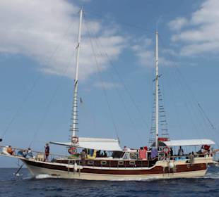 Sprint Yachting