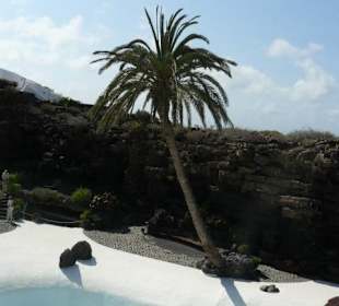 Wunderschön angelegter Garten