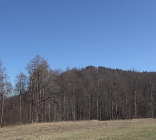 Wanderroute Drei Berge Tour Willmandingen