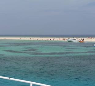 Schnorcheln und Tauchen