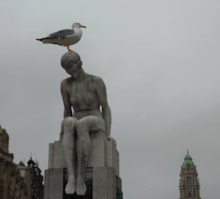 Das dasein als Statue kann ja so besch.. sein