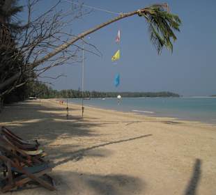 Coconut Beach