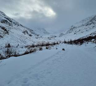 Morteratsch im Winter