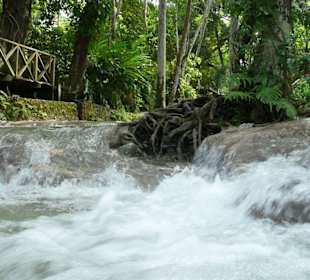 Dunn's Rivver Fall's bei Ocho's Rios