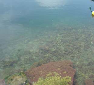 Süßwassersee Voulismeni