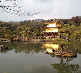 Golden Temple - Kyoto