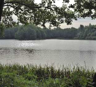 Impressionen vom Rundweg um den Weichelsee