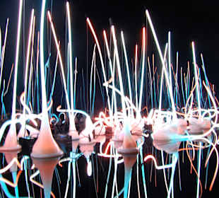 Chihuly Glasgarden - Seattle Center