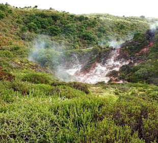 Inselrundfahrt Terceira