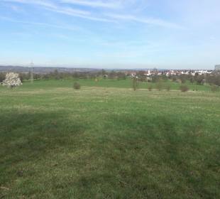 Gomaringer Rundweg - Zu den Giganten im Wald
