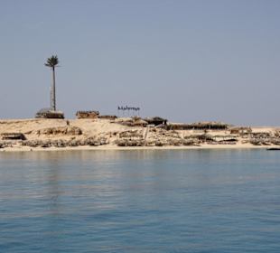 Schnorcheln Giftuninsel