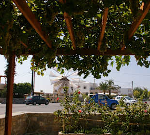 Aus Traditional Haus auf Windmühle