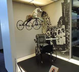 Im Power House Museum