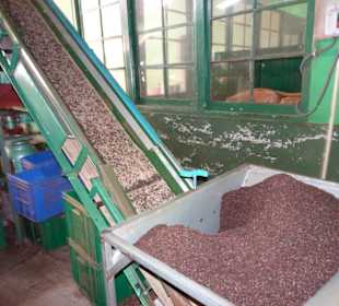 Hochland von Sri Lanka