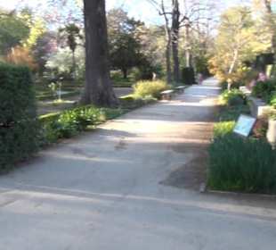 Real Jardín Botánico de Madrid