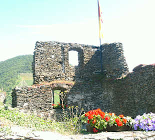 Burgruine Metternich