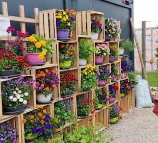 Pflanzmöglichkeiten